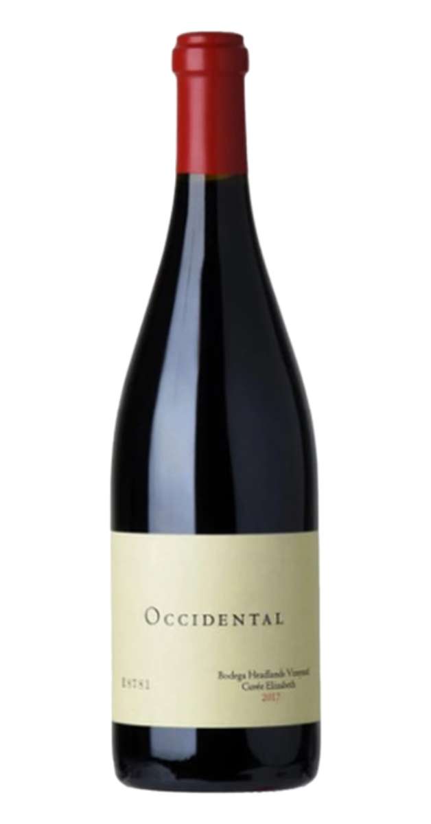 2022 Bodega Headlands Vineyard Sonoma Coast Pinot Noir